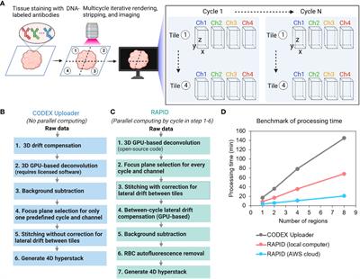 A real-time GPU-accelerated parallelized image processor for large-scale multiplexed fluorescence microscopy data